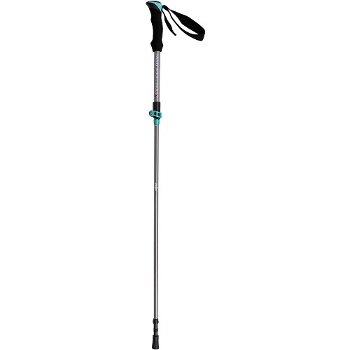 Chinook Folding Trekking Pole Single Pole - 120 Green